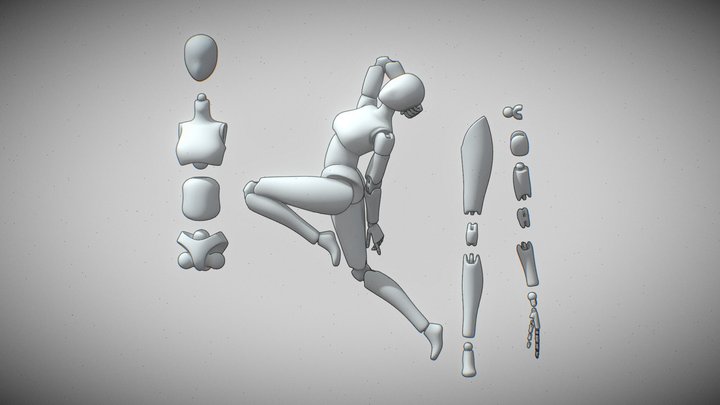 Ball Joint Doll Basemesh 3D Model